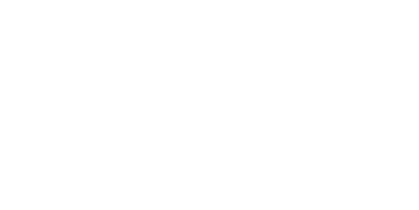 ss-bangla-express-logo